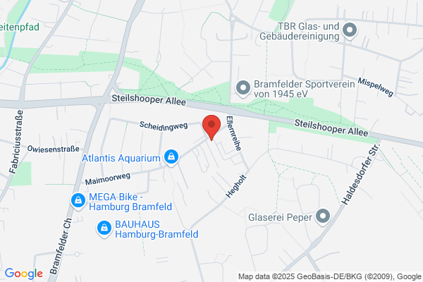Autoscheibenfolierer