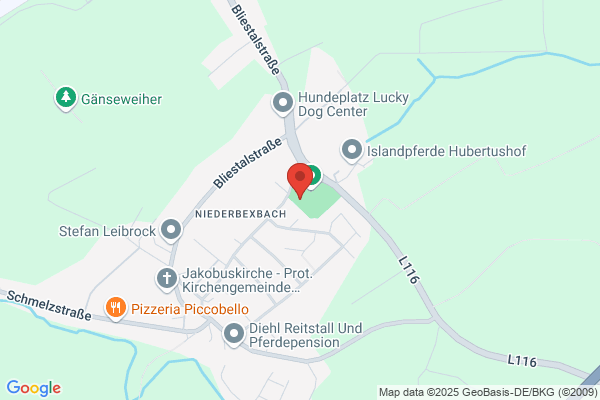 Sportverein 1928 Niederbexbach e.V.