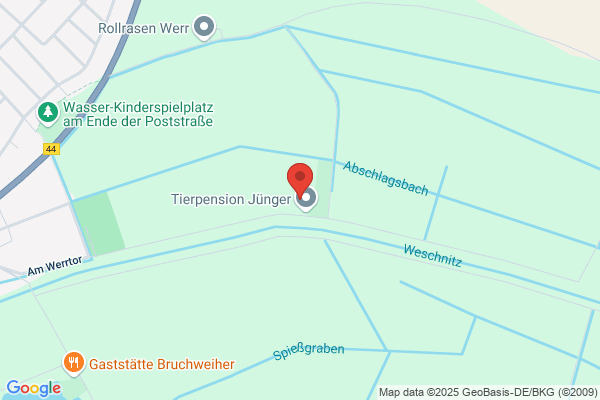 Jünger