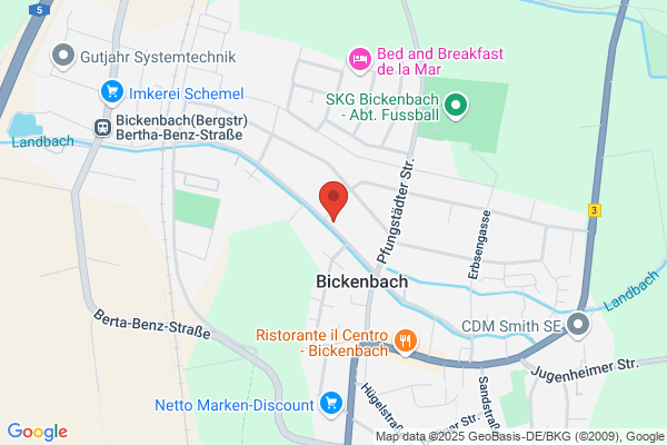 Suzuki-Musikschule