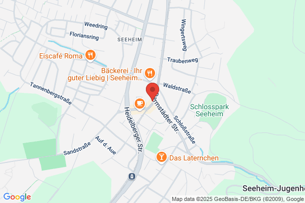 GfS Software GmbH