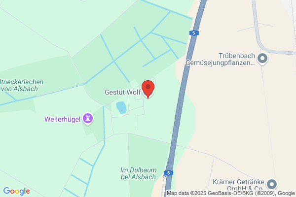Wolf Heinrich & Sohn G.m.b.H.