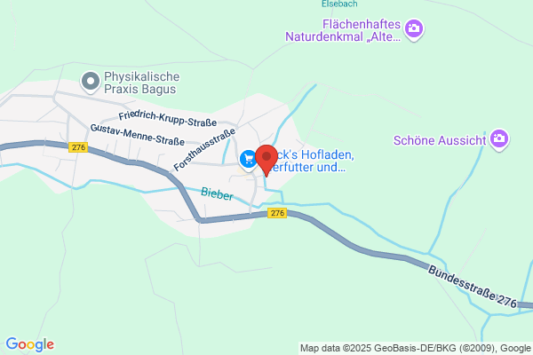 Genz Bau GmbH