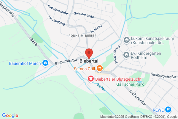 GRADINARU Bauunternehmen