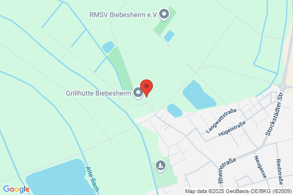 Tennisclub 1991 Biebesheim e. V.