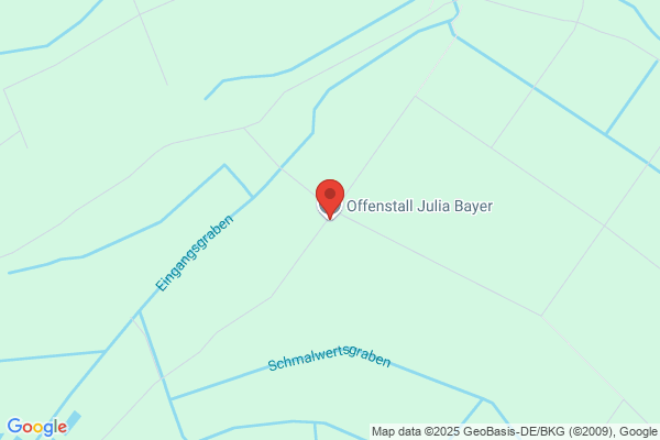 Waltraud Bayer