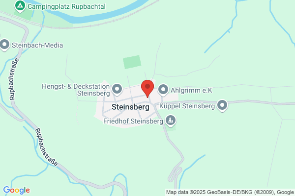 Ortsgemeinde Steinsberg