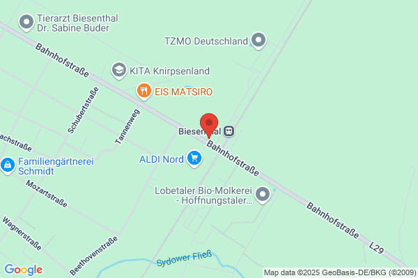 Hermann Wilke