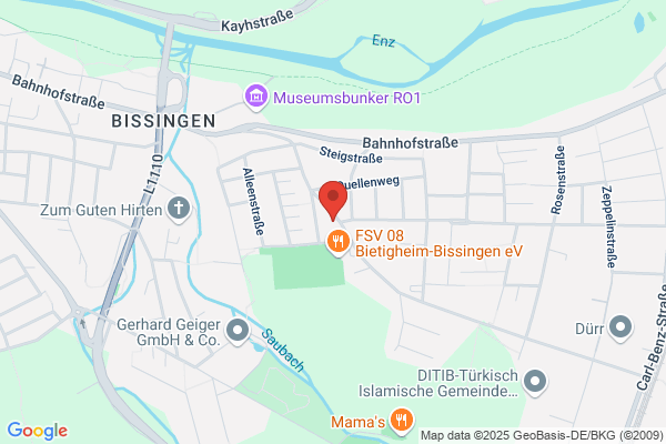 Web-Mastery I Webdesign und SEO
