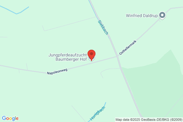 Jungpferdeaufzucht Baumberger Hof