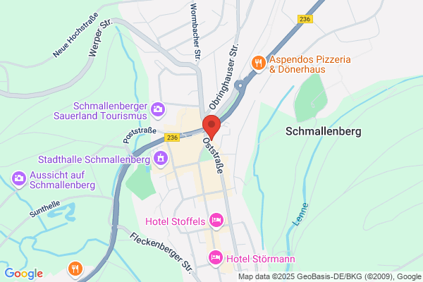 BUZ-Bingen Unternehmen Zukunft e.V