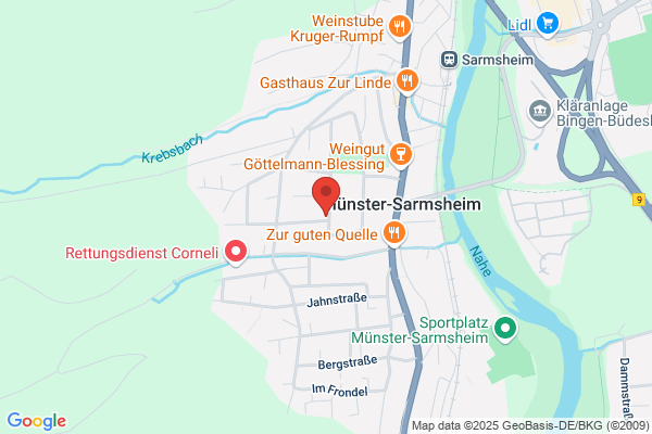 Grundschule Münster-Sarmsheim