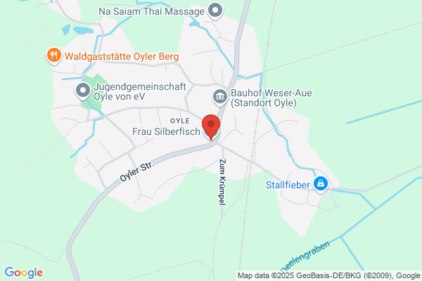 Frau Silberfisch