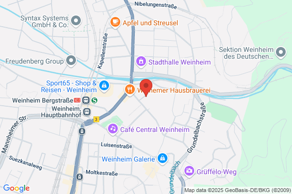 Familientherapie Zentral Institut Dr. Maria Bosch Weinheim e.V.