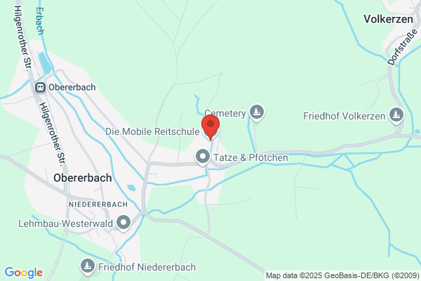 Mobile Reitschule - Reiten mit Niveau