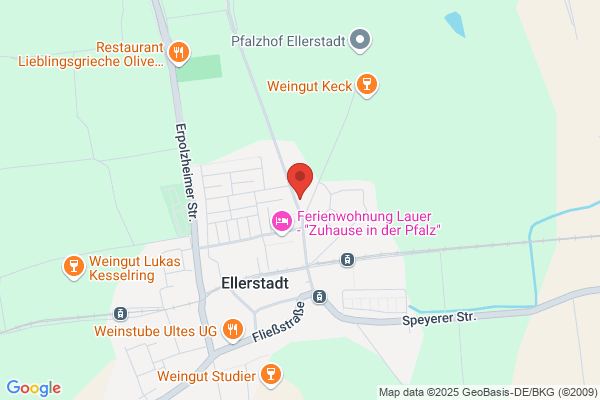 Ortsgemeinde Ellerstadt