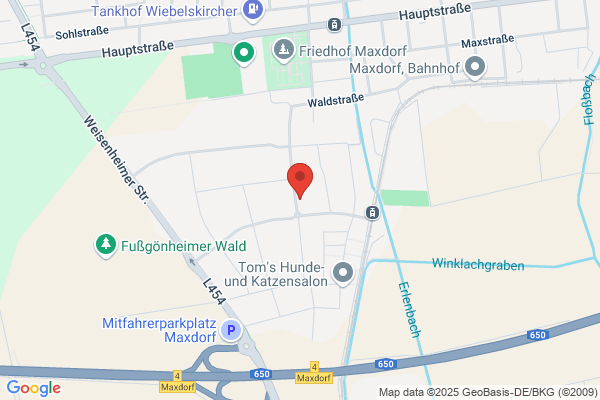 TSG Maxdorf