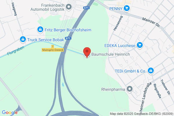 Baumschule Heinrich e.K.