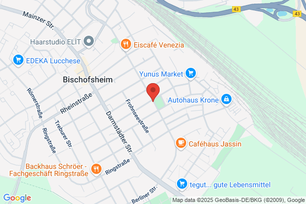 Friseure Kamm in Haarstudio