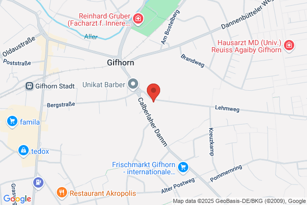 Mini-Lernkreis Nachhilfe Gifhorn