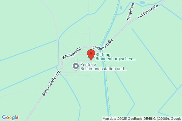 Brandenburgisches Landesgestüt