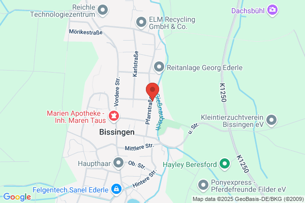 Musikverein Bissingen e. V.