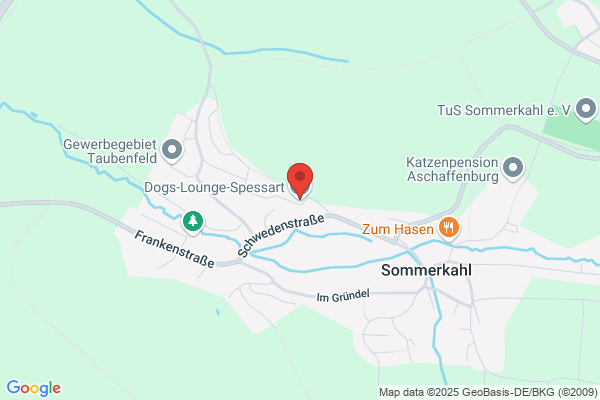 Dogs-Lounge-Spessart