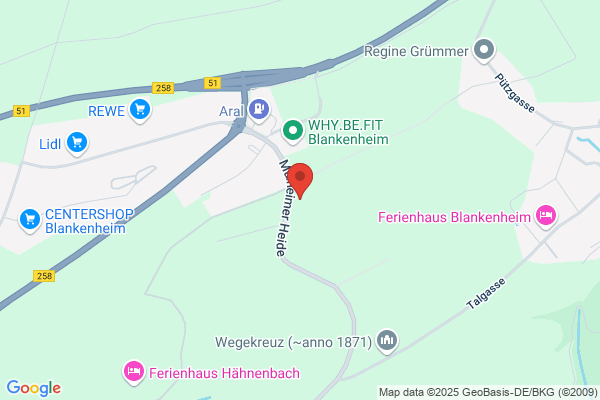 Barth Bedachungen GmbH & Co.KG