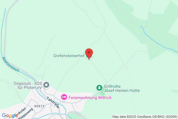 Mona Grefenstein