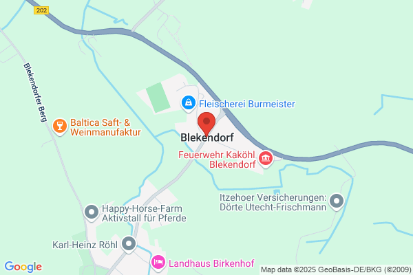 HZH Holzschliff-Zellstoff