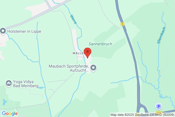 BMS-Beratung-Marketing-Service GmbH