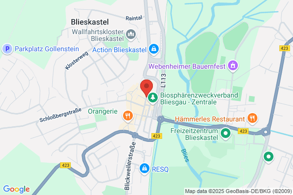 Elektro Braun GmbH