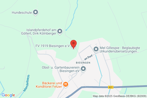 Fußballverein 1919 Biesingen e.V.