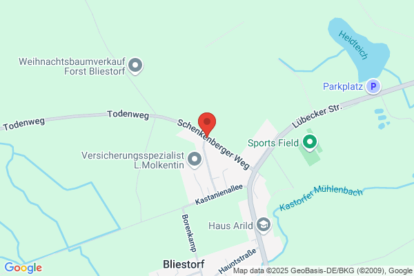 Stadtwald