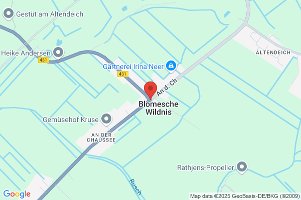 Blaß
