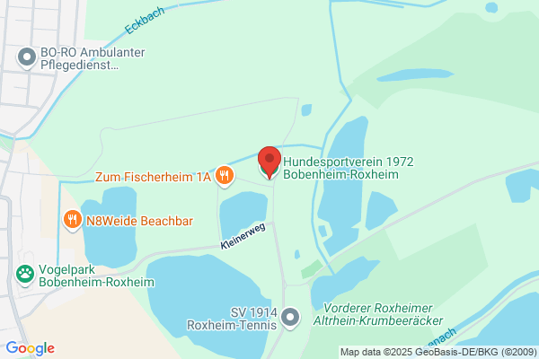 Hundeerziehung-Sessinghaus