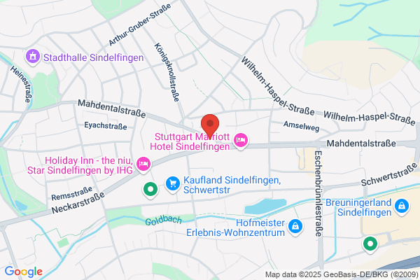 China Restaurant DYNASTY Sindelfingen