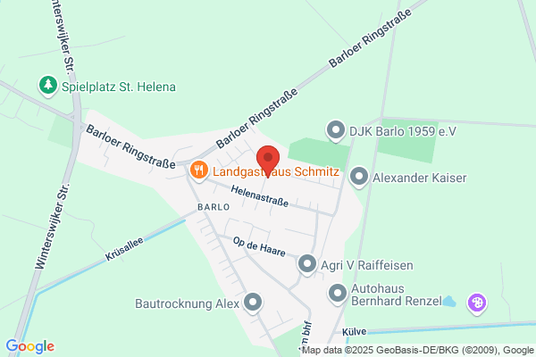 Ast-Rein