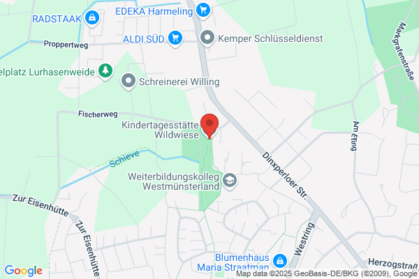 Wildwiese