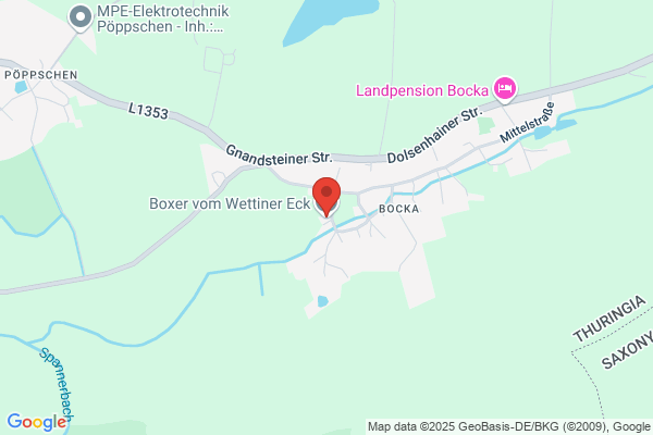 Boxerzwinger vom Wettiner Eck
