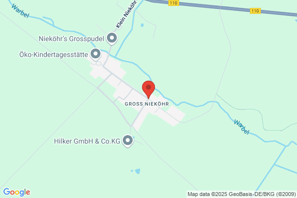 Gerd Runze