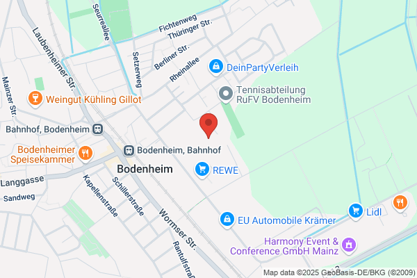 Baker Friedmann & Partners Ltd.