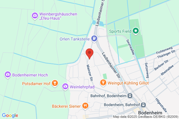 Car Hifi Electronics