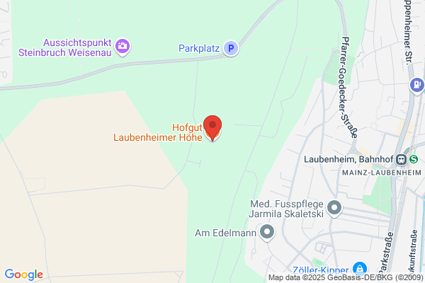 Restaurant Im Weingut der Stadt Mainz