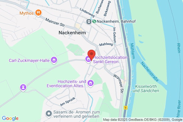 Dagmar Reifenberger