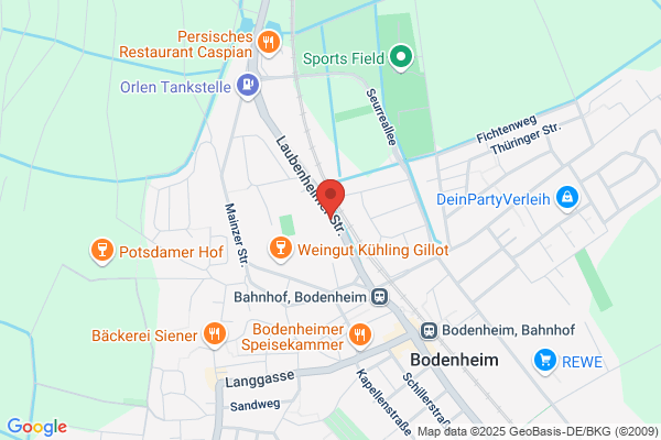Vfb 09 Bodenheim
