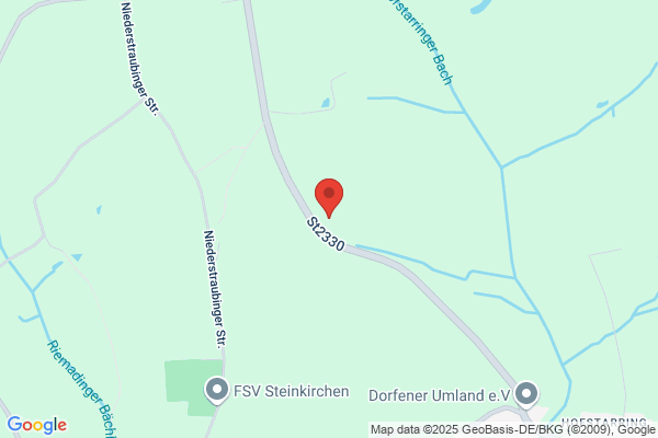 Stein und Pflanze