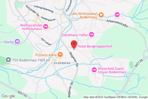 Hotel Bergknappenhof