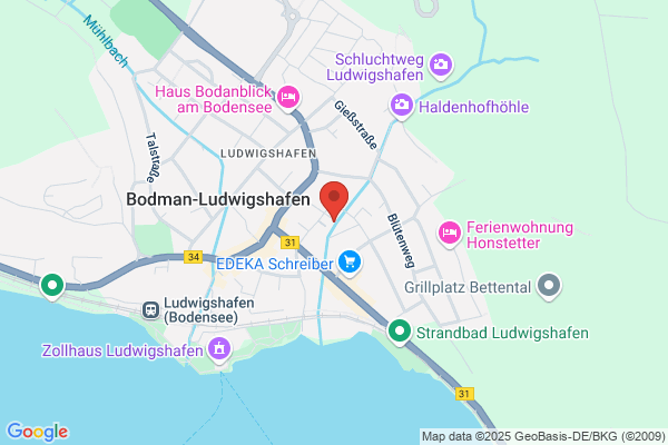 Heidrun Dette-Schaudt