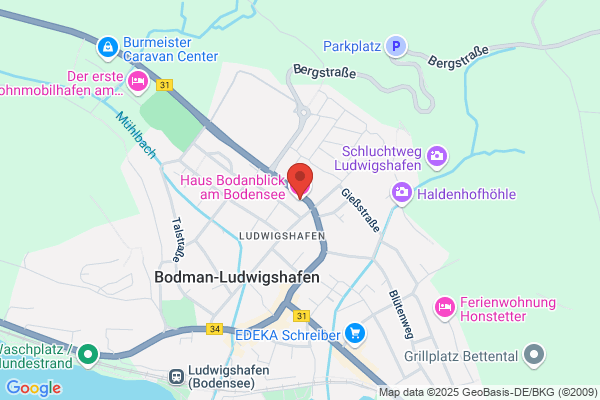 ferienwohnung- bodenseeausblick